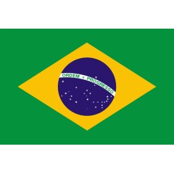 Brasil Santos, Screen 19